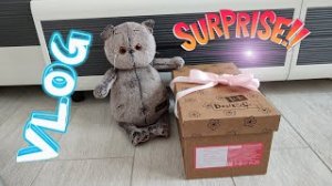 У Баси очень большой Сюрприз 🎁. Распаковка #будибаса #басики