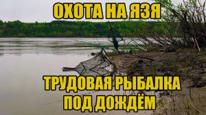 Охота на ЯЗЯ! Трудовая рыбалка под дождем.