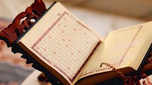 Babek Mamedrzaev Ты читаешь Библию, а я Коран.