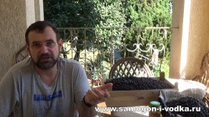 НОВЫЙ метод получения ароматнейших фруктовых дистиллятов на вакууме!! Часть первая - теория вопроса