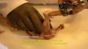 Обвалка, выемка кости из окорока и бедра курицы триммером - Bettcher