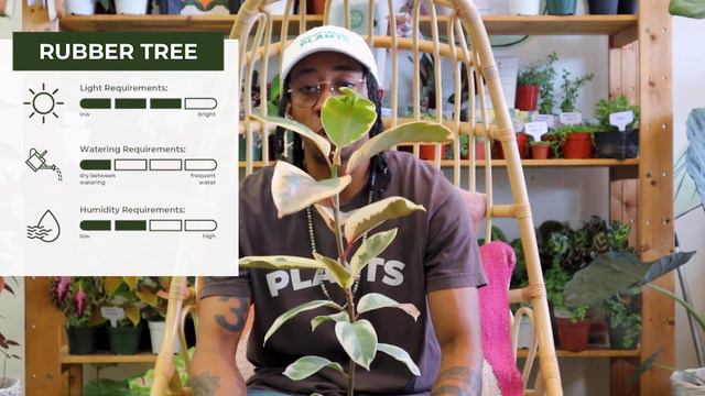 Easy Care Indoor Plants for Beginners: Plant Care Tips + Showing New Growth