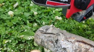 Тест №3 аккумуляторной цепной пилы Победа ПА 150