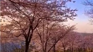 НРК Катя Пушкарёва и Андрей Жданов ЛЮБОВЬ. (Композитор Антон Шварц ❤️)