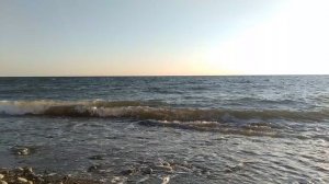 VID20230326175735.mp4