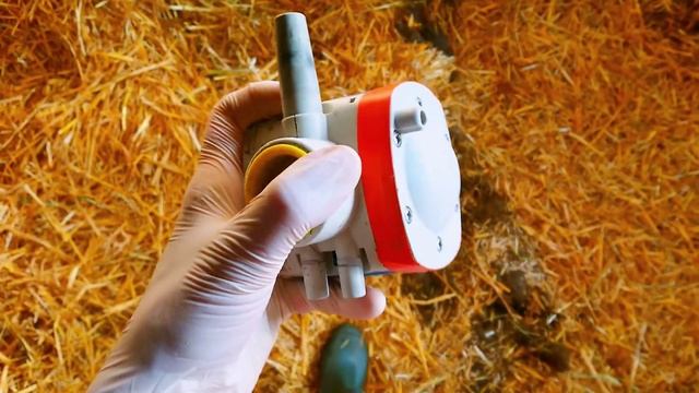 Почему может сломаться пульсатор для доения. смотреть онлайн