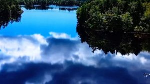 Песня в три аккорда. МЫКАЮСЬ ПО СВЕТУ.  (Г. Жаров.)