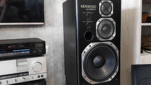 Kenwood LS 880 D.