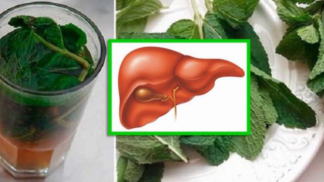 Жигарни Бутунлай Тозаловчи Фойдали Ичимлик смотреть онлайн