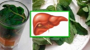 Жигарни Бутунлай Тозаловчи Фойдали Ичимлик