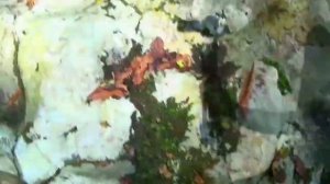 23_09_2014_ЕЩЁ РАЗ ПРО АЖЕК_N-2.mp4