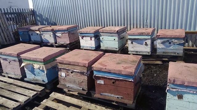 Первый день тепло+8 небольшой облёт 4 апреля 2021 смотреть онлайн