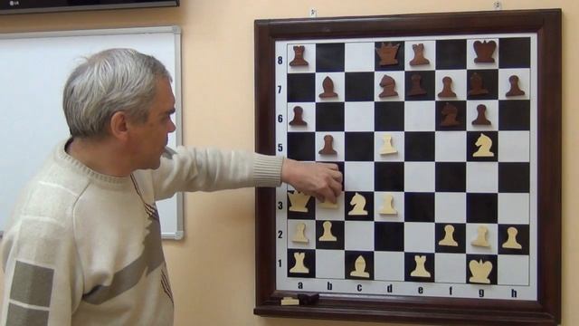 Видеоурок Д.В. Щукина. Защита Каро-Канн. Вариант Штейнера смотреть онлайн