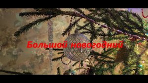 Большой новогодний влог.