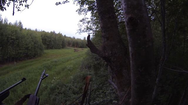 Открытие сезона 2016, Старая Русса. часть 1- И куда ты стрелял))). смотреть онлайн