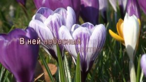 Библия - Минус