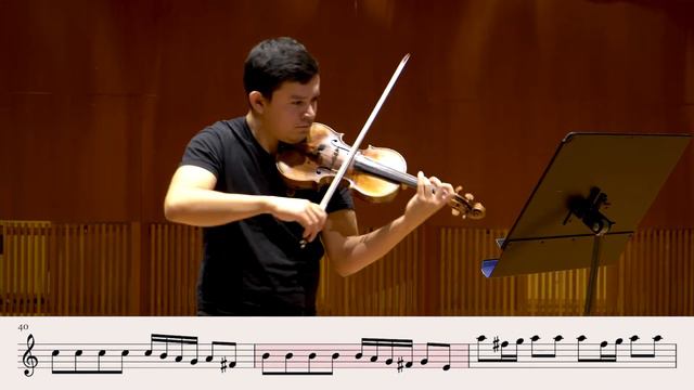 Vivaldi Violin Concerto in A minor RV 356 смотреть онлайн