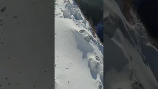 УАЗ Хантер в снежной ловушке после снегопада. Ущелье Аргута. Полное видео. Горный Алтай. #offroad