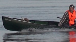 Каноэ Карелия + лодочный мотор Ветерок-8М