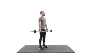 Подъём штанги перед собой. Передняя плечевая дельта.