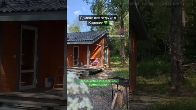 Отдых в Карелии, ЛЕС и ЛАДОГА ✨ #отдыхвкарелии #карелия