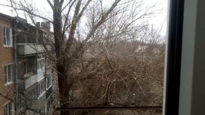 Тревога в Ростове-на-Дону/Что случилось?/Сирена/Что за сирена на Западном в Ростов-на-Дону?