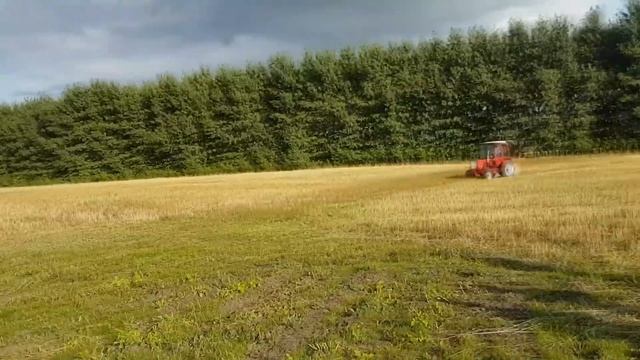 ВЫКОПАЛИ ВСЮ КАРТОШКУ ЗА ДЕНЬ! На оборке картошки всей семьей! влог в деревне. смотреть онлайн