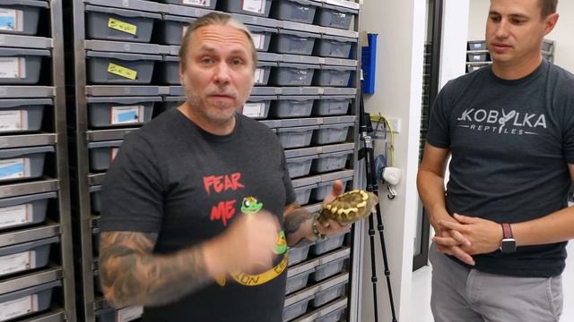 Brian Barczyk's 5 FAVORITE Ball Pythons at JKR! | #Hetflix 102 смотреть онлайн