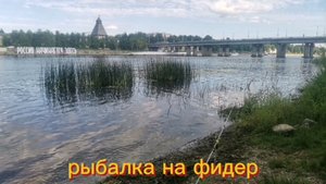 рыбалка на реке великая на леща .