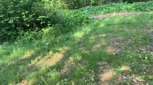 Можайское водохранилище