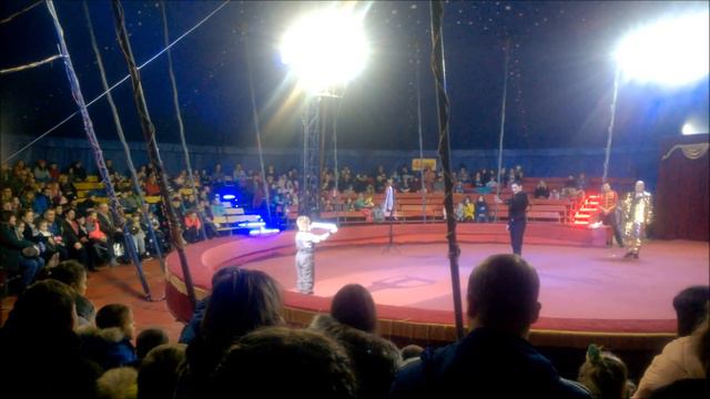 16.02.2019 МЫ ХОДИЛИ В ЦИРК смотреть онлайн