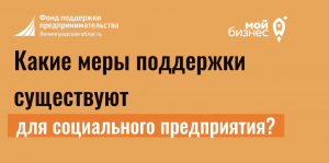 Какие меры поддержки для социального предприятия существуют?