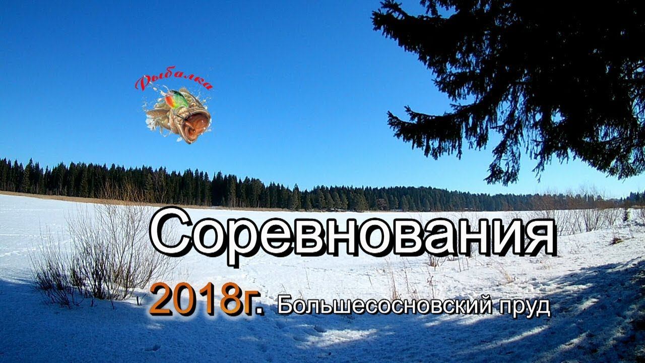 Районные соревнования по рыбной ловле со льда 2018 год на Большесосновском пруду