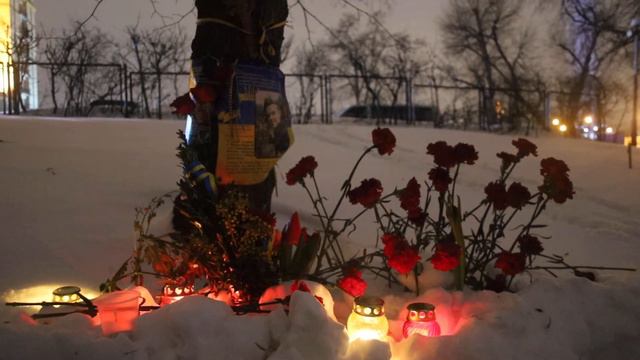 Небесная Сотня. Красные гвоздики на снегу в память погибших героев