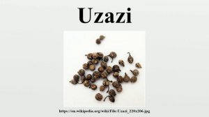 Uzazi