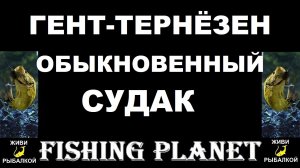 Обыкновенный судак на канале гент тернезен в игре Fishing Planet