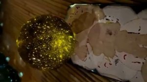 Кристалл Андары - Жизнь внутри