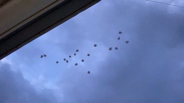 "Скорбим...Казань, мы с тобой..." - (с.Первомайское, Кировский р-он, Р.Крым. 11.05.2021г) смотреть онлайн