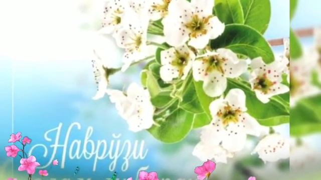 NAVRO'Z BAYRAMINGIZ MUBORAK BO'LSIN ... ???? смотреть онлайн