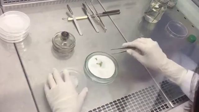 АЛМАТИНСКИЙ ТЕХНОЛОГИЧЕСКИЙ УНИВЕРСИТЕТ. "РАЗВИТИЕ ЗЕЛЁНЫХ ТЕХНОЛОГИЙ" . смотреть онлайн