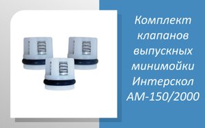 Комплект клапанов выпускных минимойки Интерскол АМ-150/2000