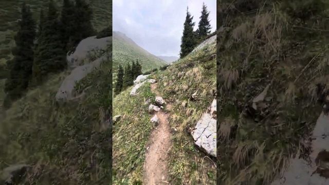 Горы Алматы , поляна Терра , сказочный вид смотреть онлайн