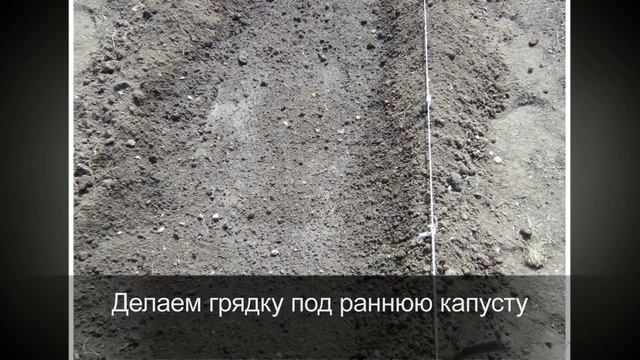 САМАРА.Дачные грядки мои. 3 серия.Цветы, нора и грядки смотреть онлайн