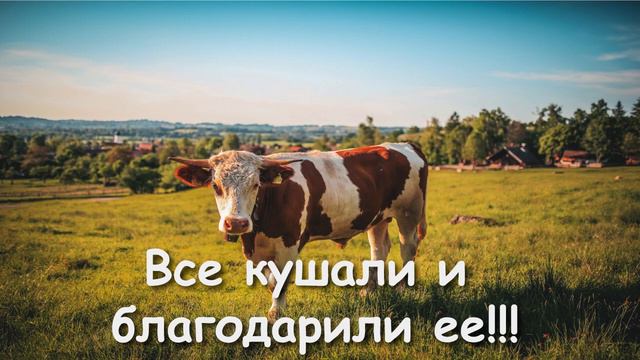 ЧТО Я МОГУ СДЕЛАТЬ ДЛЯ ЦЕРКВИ? КАК СТАРЕНЬКАЯ, ПОЖИЛАЯ БАБУШКА ПОЖЕРТВОВАЛА ЖИВОТНОЕ ДЛЯ ЦЕРКВИ!