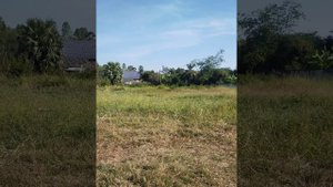 Seriously tested with Goosky RS4 (PNP version) - Pilot Lotte Chawanagon