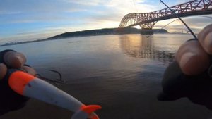 Осенняя рыбалка на щуку. Иртыш начинает радовать уловом. Ханты-Мансийск  #рыбалка #югра