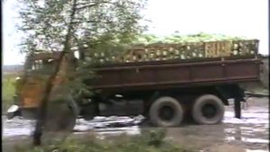 Земля моя...В погоне за уходящей Мещерой. История Шатуры в рассказах очевидцев 1998 год.