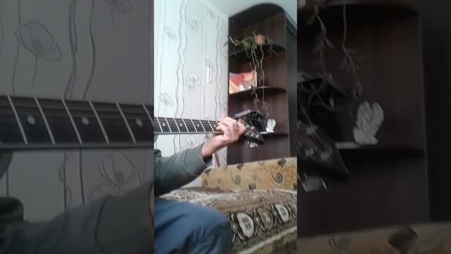 Размышления на прогулке  Александр Розенбаум