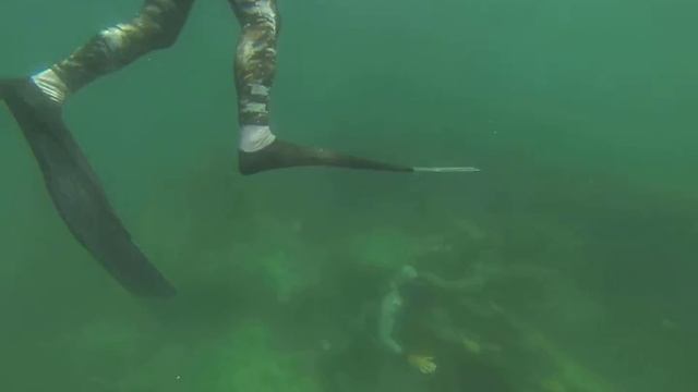 Pesca Tortuga 12 смотреть онлайн