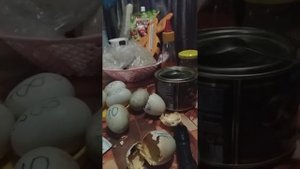 Даже в сухом инкубаторе НЕСУШКА 104 яйца выводятся утята.